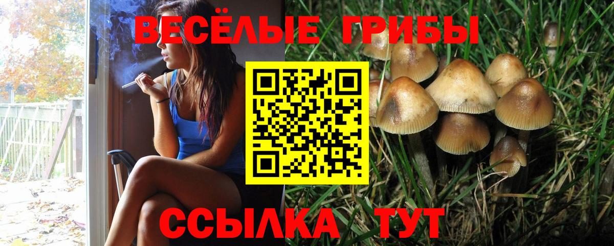 Галлюциногенные грибы MAGIC MUSHROOMS  Вход с VPN  Арсеньев  Псилоцибиновые грибы Cubensis 